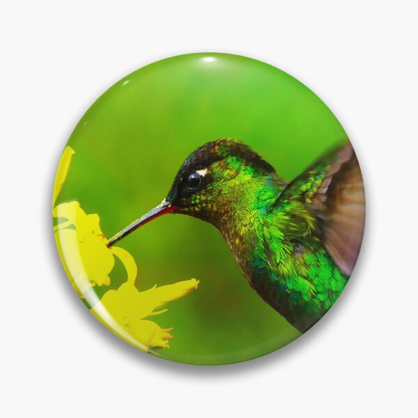Item preview, Hovering Hummer designed and sold by Merlin13.