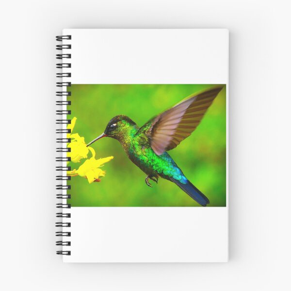 Item preview, Hovering Hummer designed and sold by Merlin13.