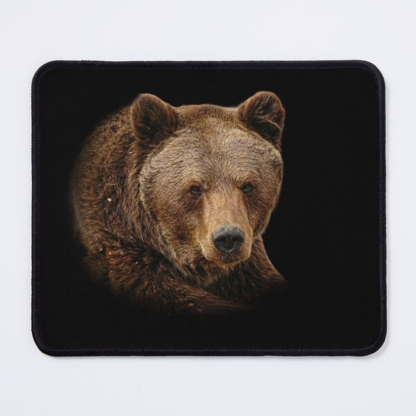 Item preview, Brown Bear designed and sold by Guardi71.