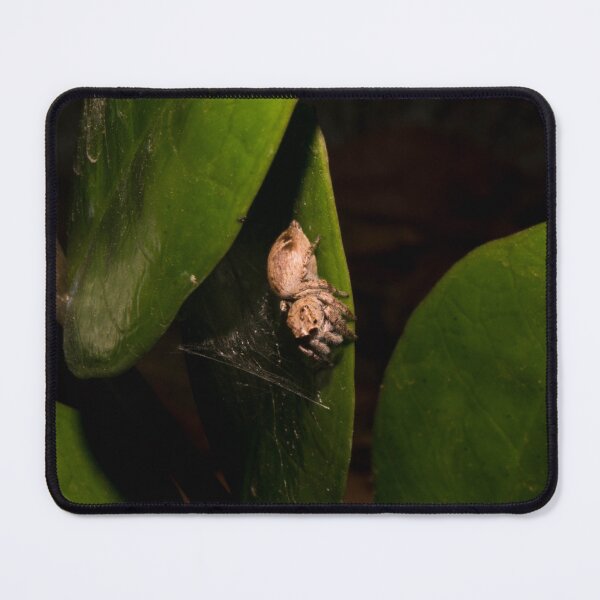Item preview, Jumping Spider_03 designed and sold by ROSE ANN BANILAR.