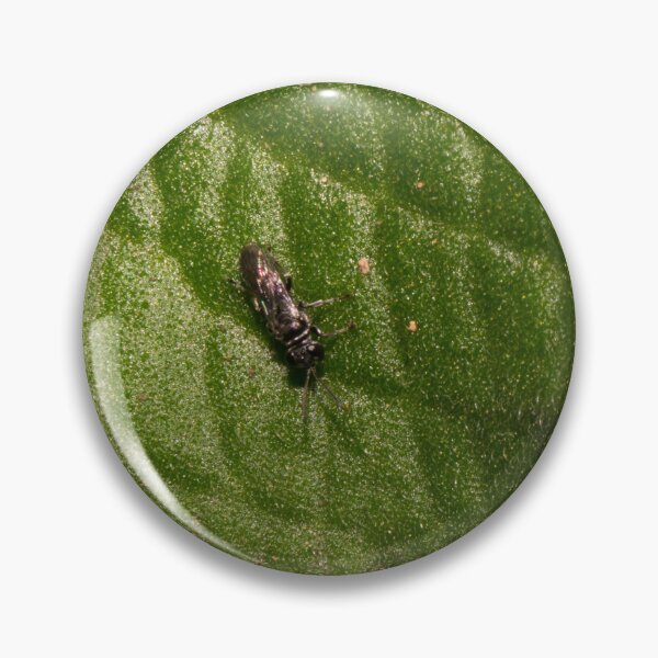 Item preview, Soldier Fly designed and sold by ROSE ANN BANILAR.