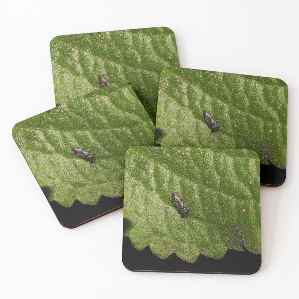 Item preview, Soldier Fly designed and sold by ROSE ANN BANILAR.