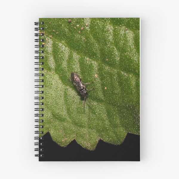 Item preview, Soldier Fly designed and sold by ROSE ANN BANILAR.