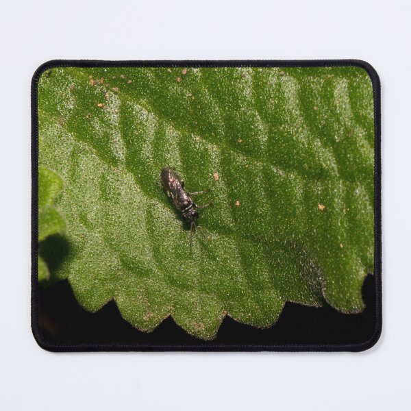 Item preview, Soldier Fly designed and sold by ROSE ANN BANILAR.