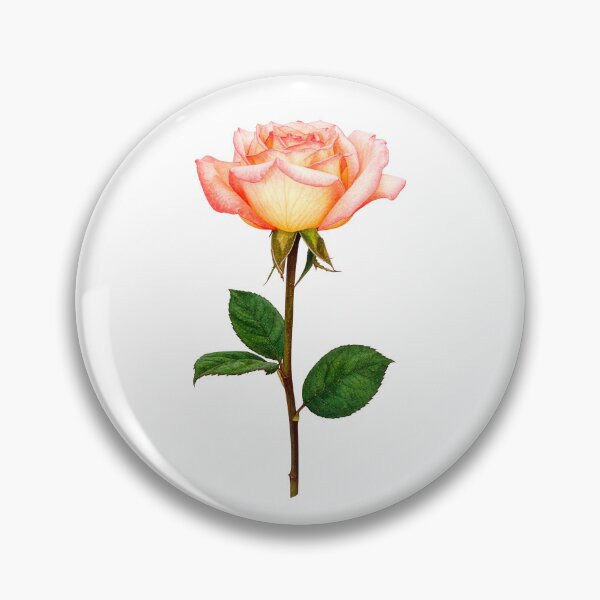 Item preview, Peach Rose Watercolor Botanical Art designed and sold by Rutvain.