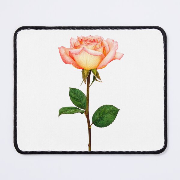 Item preview, Peach Rose Watercolor Botanical Art designed and sold by Rutvain.