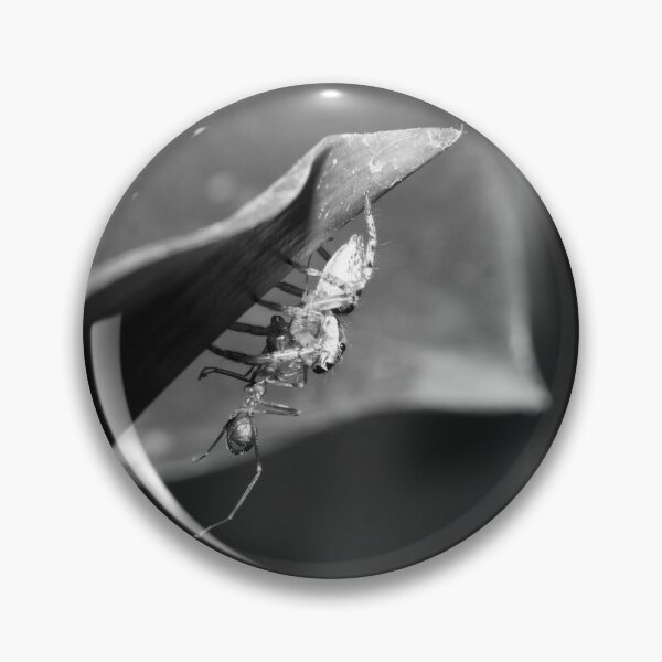 Item preview, B&W - Jumping Spider the Hunter designed and sold by ROSE ANN BANILAR.