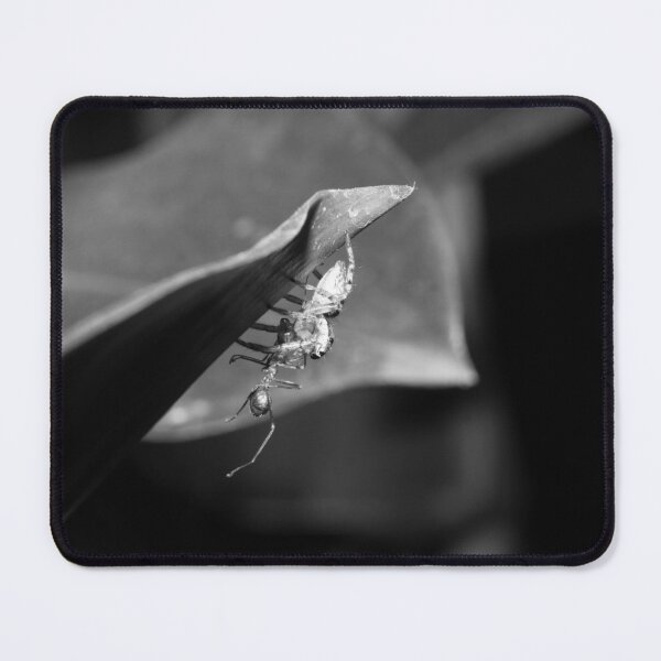 Item preview, B&W - Jumping Spider the Hunter designed and sold by ROSE ANN BANILAR.