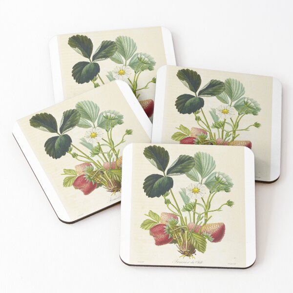 Item preview, Strawberry from Chile - antique botanical illustration designed and sold by PoiteauBotaniste.