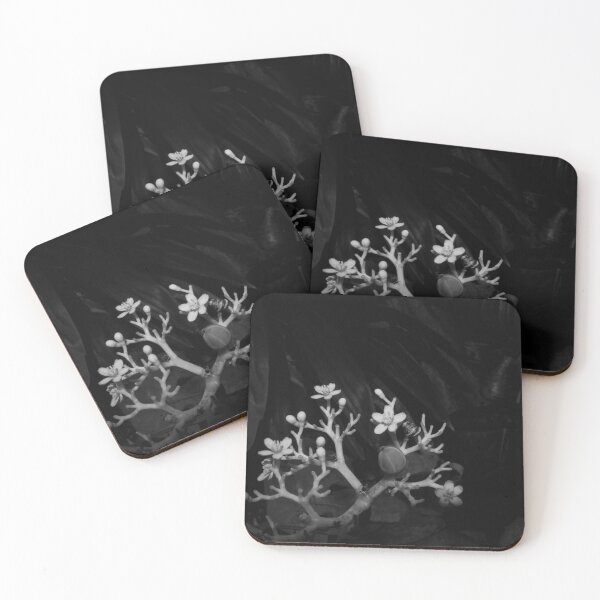 Item preview, B&W - Jatropha podagrica designed and sold by ROSE ANN BANILAR.