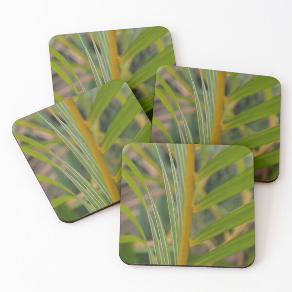 Item preview, Areca Palm designed and sold by ROSE ANN BANILAR.