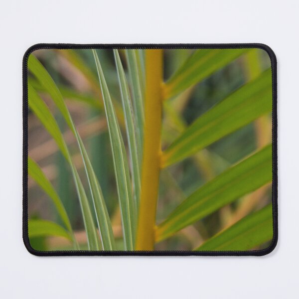 Item preview, Areca Palm designed and sold by ROSE ANN BANILAR.
