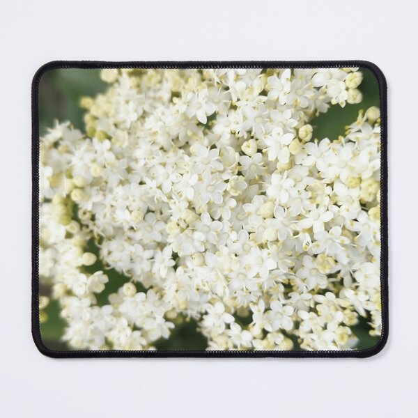 Item preview, Tiny flowers from Kashmir  designed and sold by sonamkumari333.