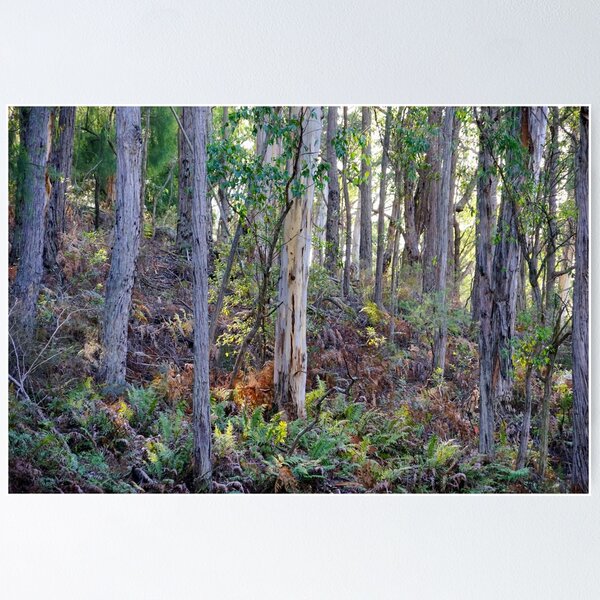 Item preview, In the Forest designed and sold by Harry Oldmeadow.