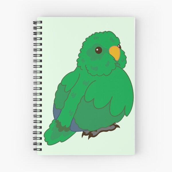 Item preview, Cute male Eclectus Parrot designed and sold by causebirbs.