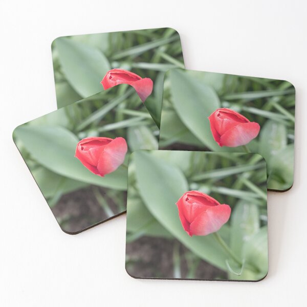 Item preview, Focused on a Single Deep Pink Tulip in Blurred Greenery designed and sold by Georgia Mizuleva.