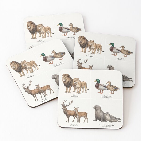 Item preview, Animal Sexual Dimorphism designed and sold by ArunDandiboina.