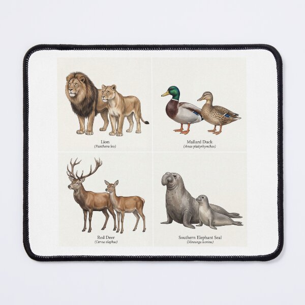 Item preview, Animal Sexual Dimorphism designed and sold by ArunDandiboina.