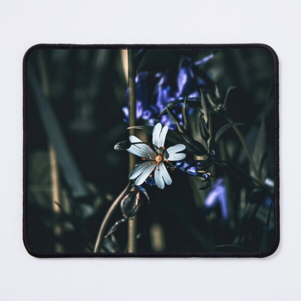 Item preview, Greater stitchwort at Blackbury Camp designed and sold by widdy170.