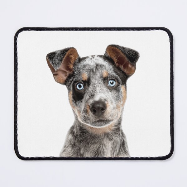 Item preview, Adorable Australian Cattle Dog Pup for Cute Red Heeler puppy lovers designed and sold by LazyOwlStore.