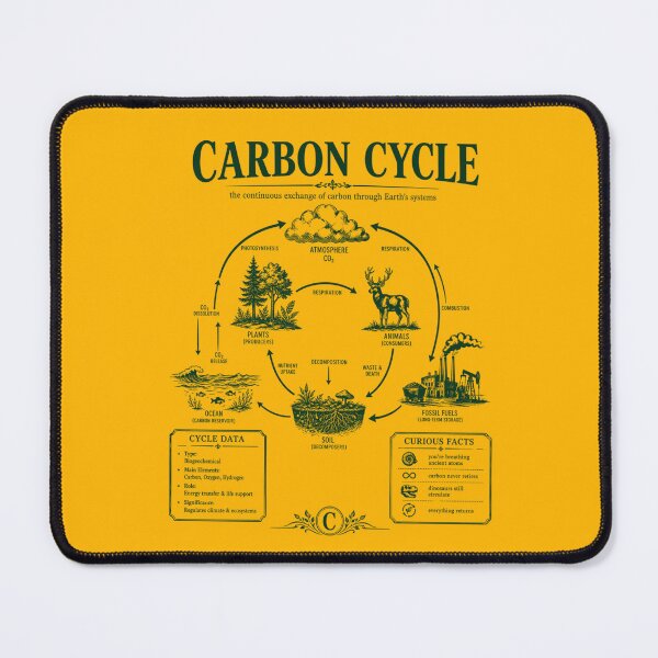 Item preview, Vintage Carbon Cycle Diagram Environmental Science Chart designed and sold by FreshVibe Prints.