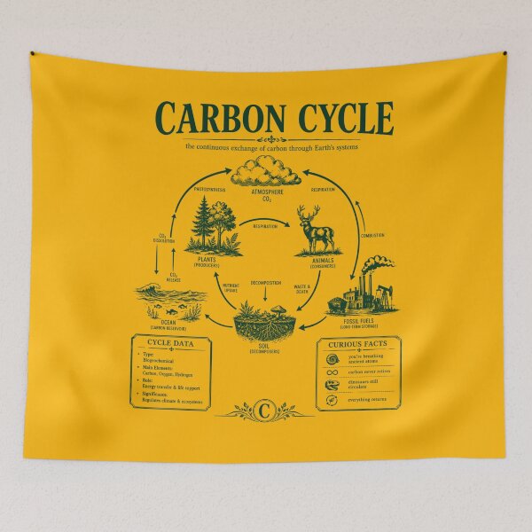 Item preview, Vintage Carbon Cycle Diagram Environmental Science Chart designed and sold by FreshVibe Prints.