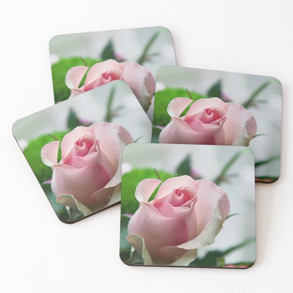 Item preview, Soft Pink Rose Bud designed and sold by ShotsbyDesiree.