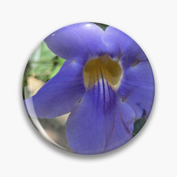 Item preview, Thunbergia grandiflora: Fluidity and Tonal Gradation designed and sold by JhonBotanicalAr.