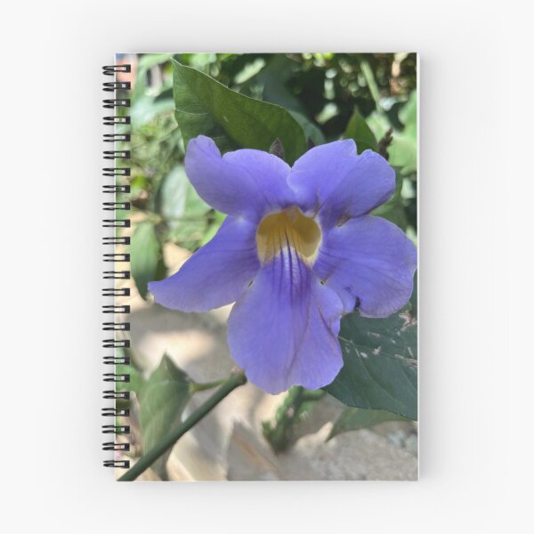 Item preview, Thunbergia grandiflora: Fluidity and Tonal Gradation designed and sold by JhonBotanicalAr.