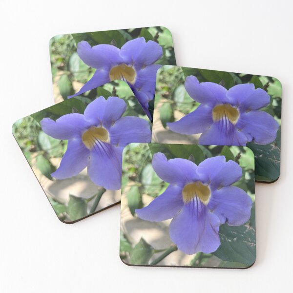 Item preview, Thunbergia grandiflora: Fluidity and Tonal Gradation designed and sold by JhonBotanicalAr.