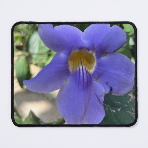 Item preview, Thunbergia grandiflora: Fluidity and Tonal Gradation designed and sold by JhonBotanicalAr.