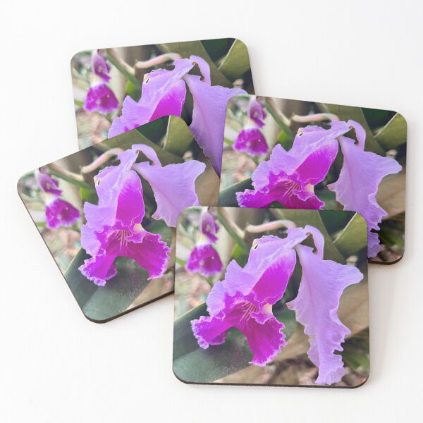 Item preview, Cattleya trianae: Anatomy and Real Symmetry designed and sold by JhonBotanicalAr.
