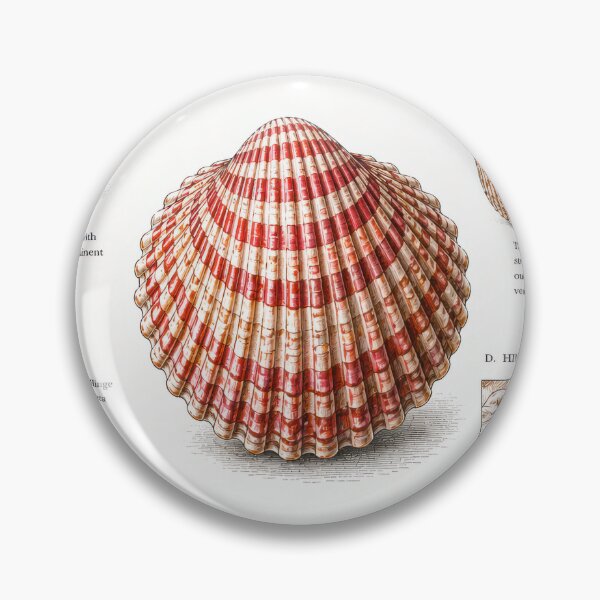 Item preview, Vintage Cockle Shell Scientific Diagram designed and sold by Magical Art Store.