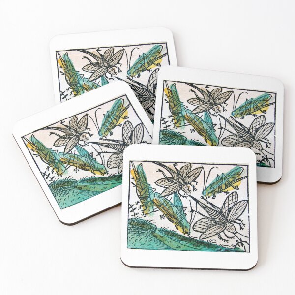 Item preview, Historical Natural History Vintage designed and sold by archivioforte.