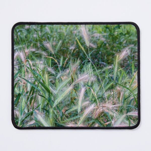 Item preview, Wild Grass Meadow With Delicate Seed Heads In Green Field Close-Up Nature Texture designed and sold by Nmallia.