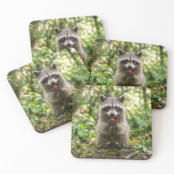 Item preview, Raccoon holding a berry designed and sold by Malisa345.