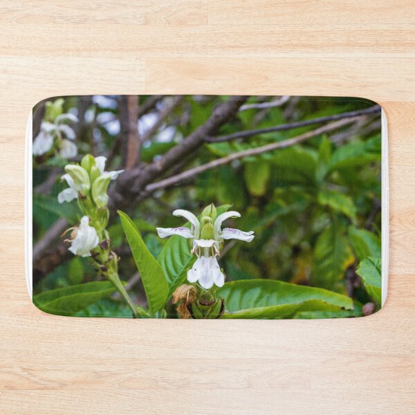 Item preview, White Tropical Flower Close-Up With Green Leaves in Lush Garden Setting designed and sold by Nmallia.