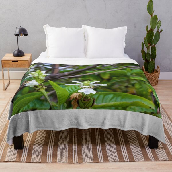 Item preview, White Tropical Flower Close-Up With Green Leaves in Lush Garden Setting designed and sold by Nmallia.