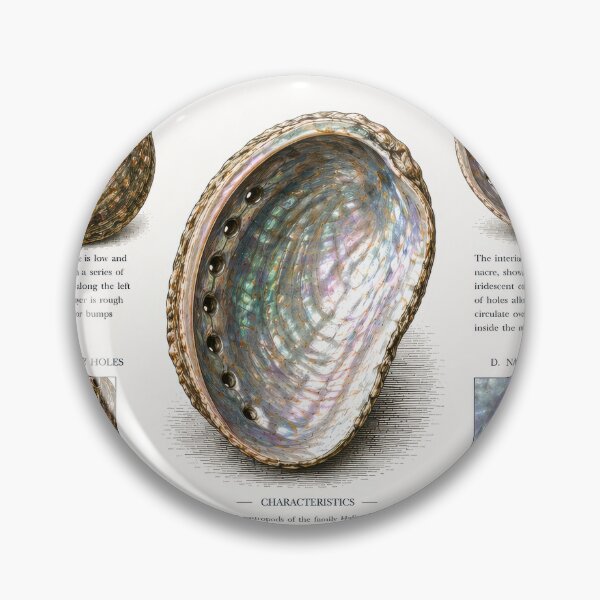 Item preview, Vintage Abalone Shell Illustration Print designed and sold by Magical Art Store.