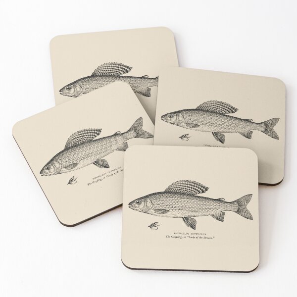 Item preview, Drawing of Grayling with bait designed and sold by Washout-Wear.