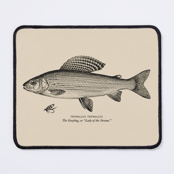 Item preview, Drawing of Grayling with bait designed and sold by Washout-Wear.