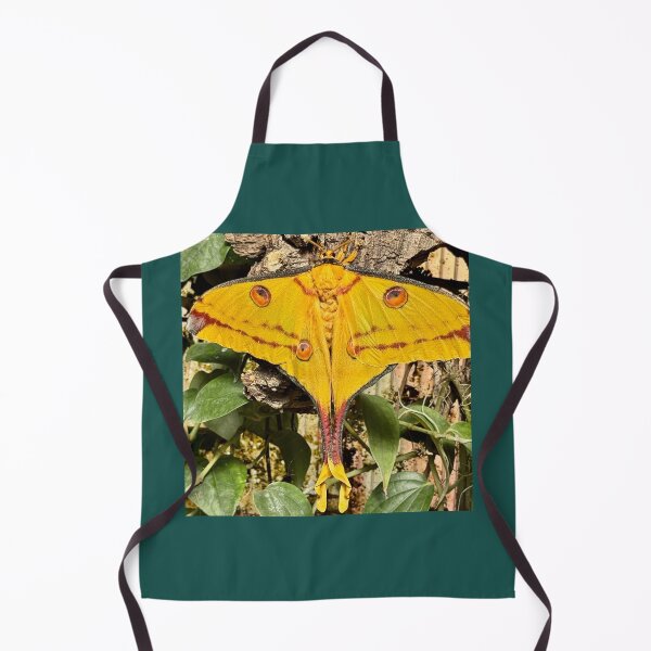 Item preview, Madagascar Moon Moth Magic designed and sold by Takutakina.