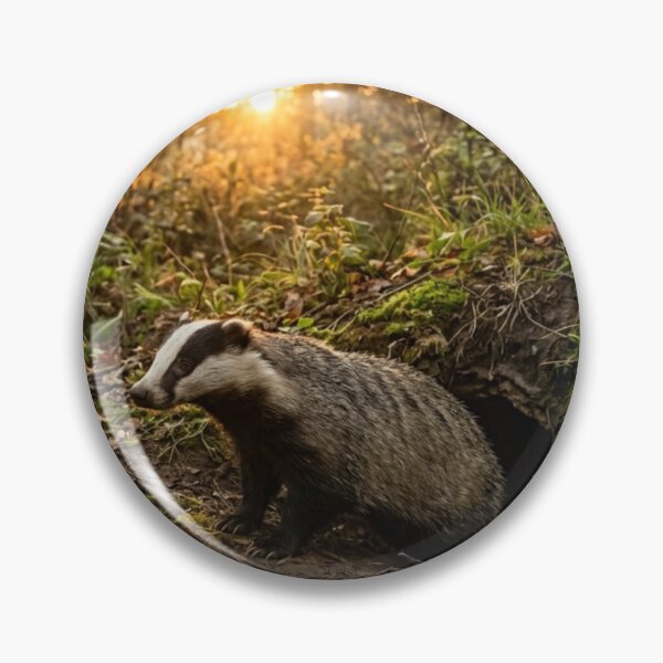 Item preview, Badger emerging from its burrow at sunrise designed and sold by Malisa345.