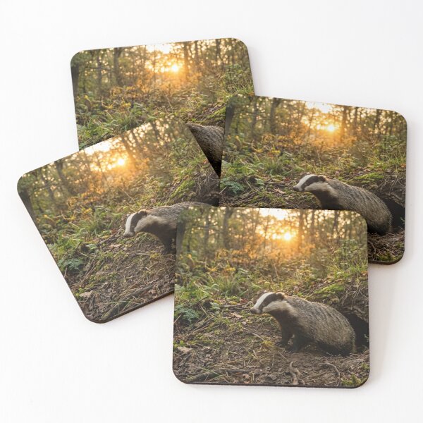Item preview, Badger emerging from its burrow at sunrise designed and sold by Malisa345.