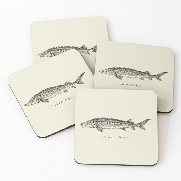 Item preview, Drawing of a sturgeon designed and sold by Washout-Wear.