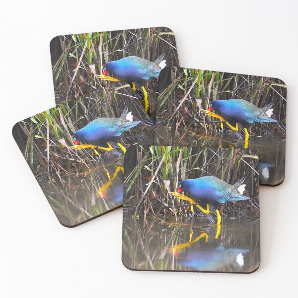 Item preview, Purple Gallinule Photo Big Feet Small Twig designed and sold by Pondside-Pics.