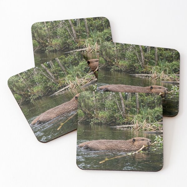 Item preview, Beaver in the water with a branch designed and sold by Malisa345.