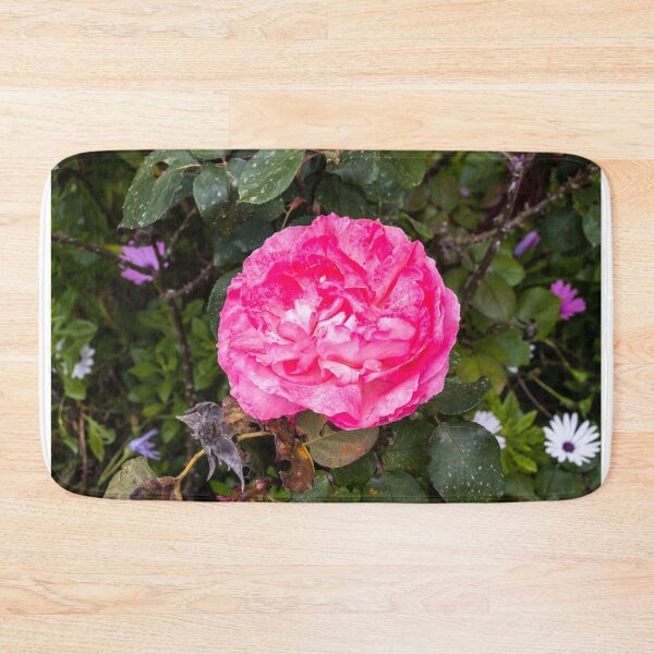 Item preview, Vibrant Pink Rose Close-Up in Garden With Lush Green Leaves and Delicate Layered Petals designed and sold by Nmallia.