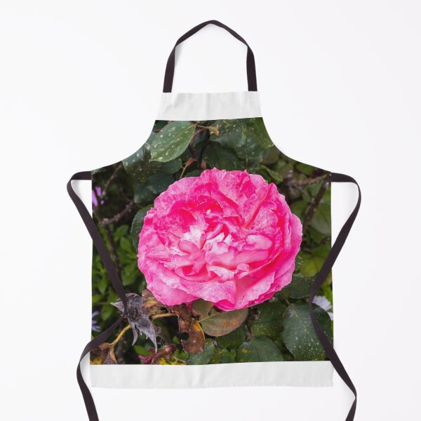 Item preview, Vibrant Pink Rose Close-Up in Garden With Lush Green Leaves and Delicate Layered Petals designed and sold by Nmallia.