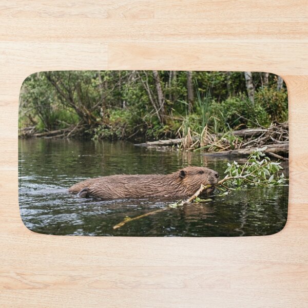 Item preview, Beaver in the water with a branch designed and sold by Malisa345.